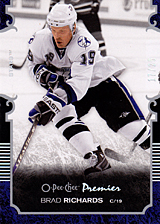 2007-2008 OPC Premier Regular Card 67 Brad Richards