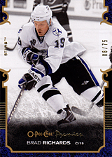 2007-2008 OPC Premier Regular Card 67 Brad Richards