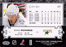 2007-2008 OPC Premier Regular Card 67 Brad Richards
